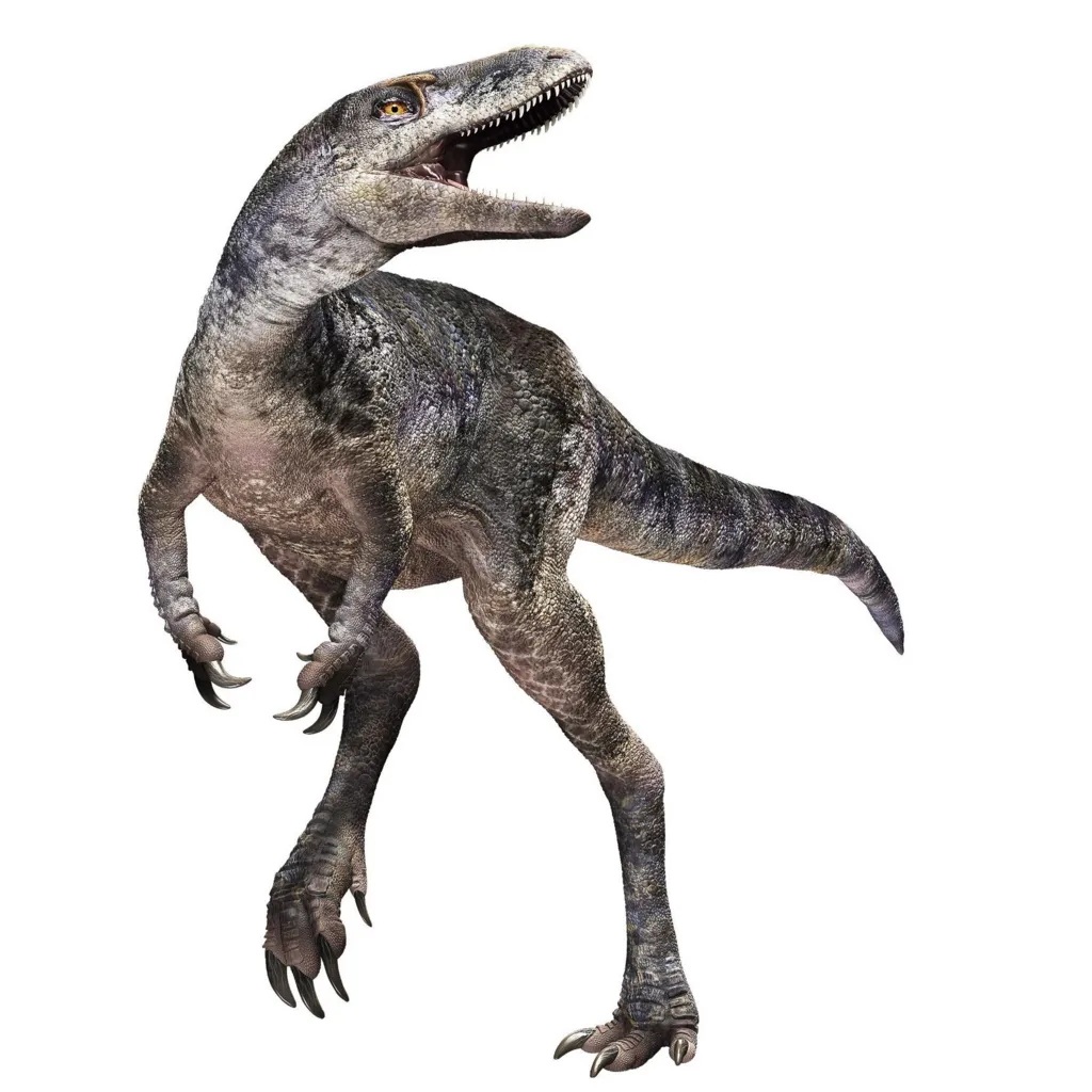 An artist's impression of Khankhuuluu mongoliensis, the newly discovered tyrannosaur ancestor